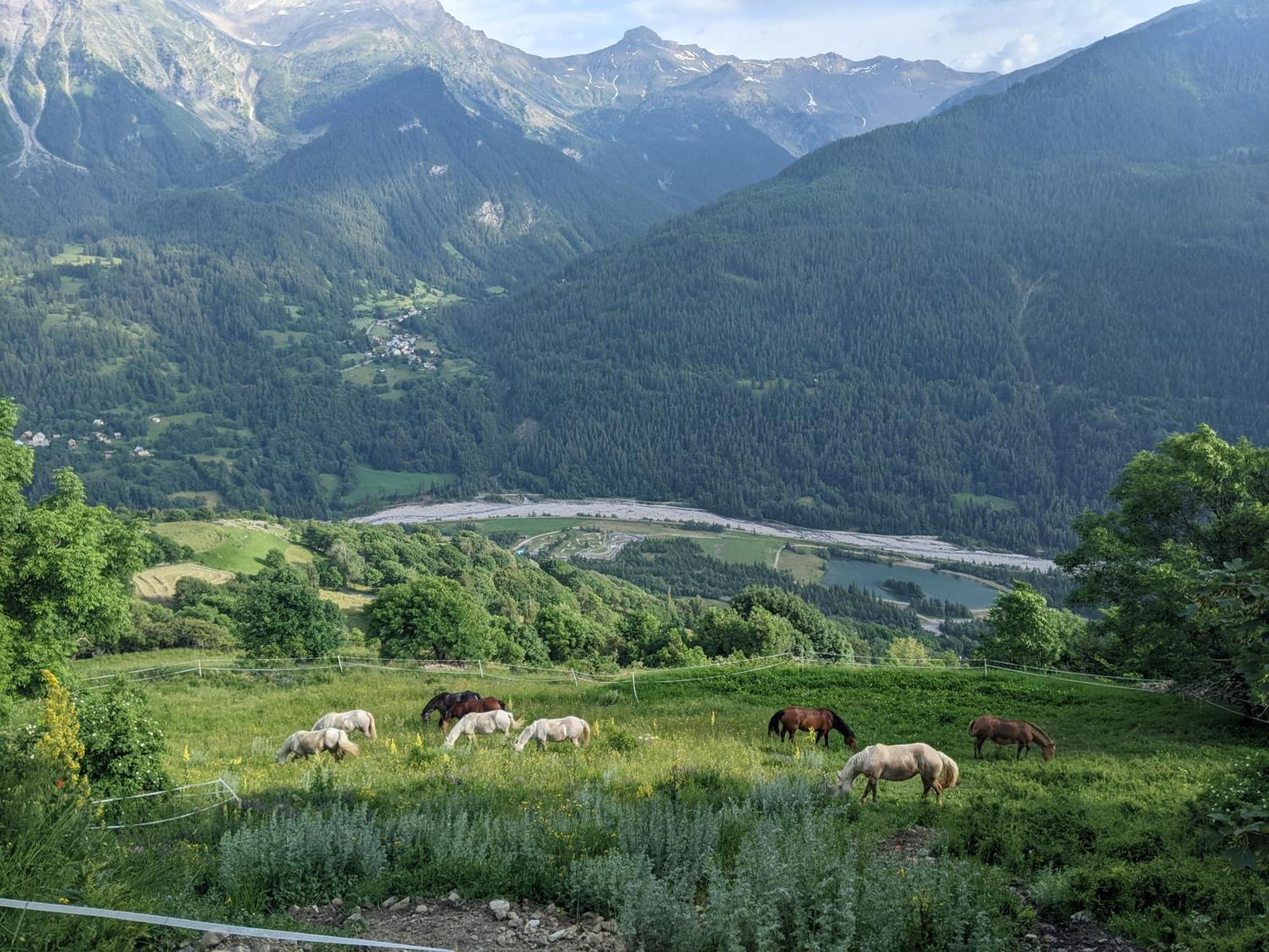 Gite Du Bois De L'Ours Orcières Εξωτερικό φωτογραφία